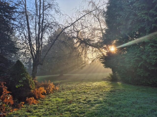 Good morning, from Hazelmere Acres ❤️