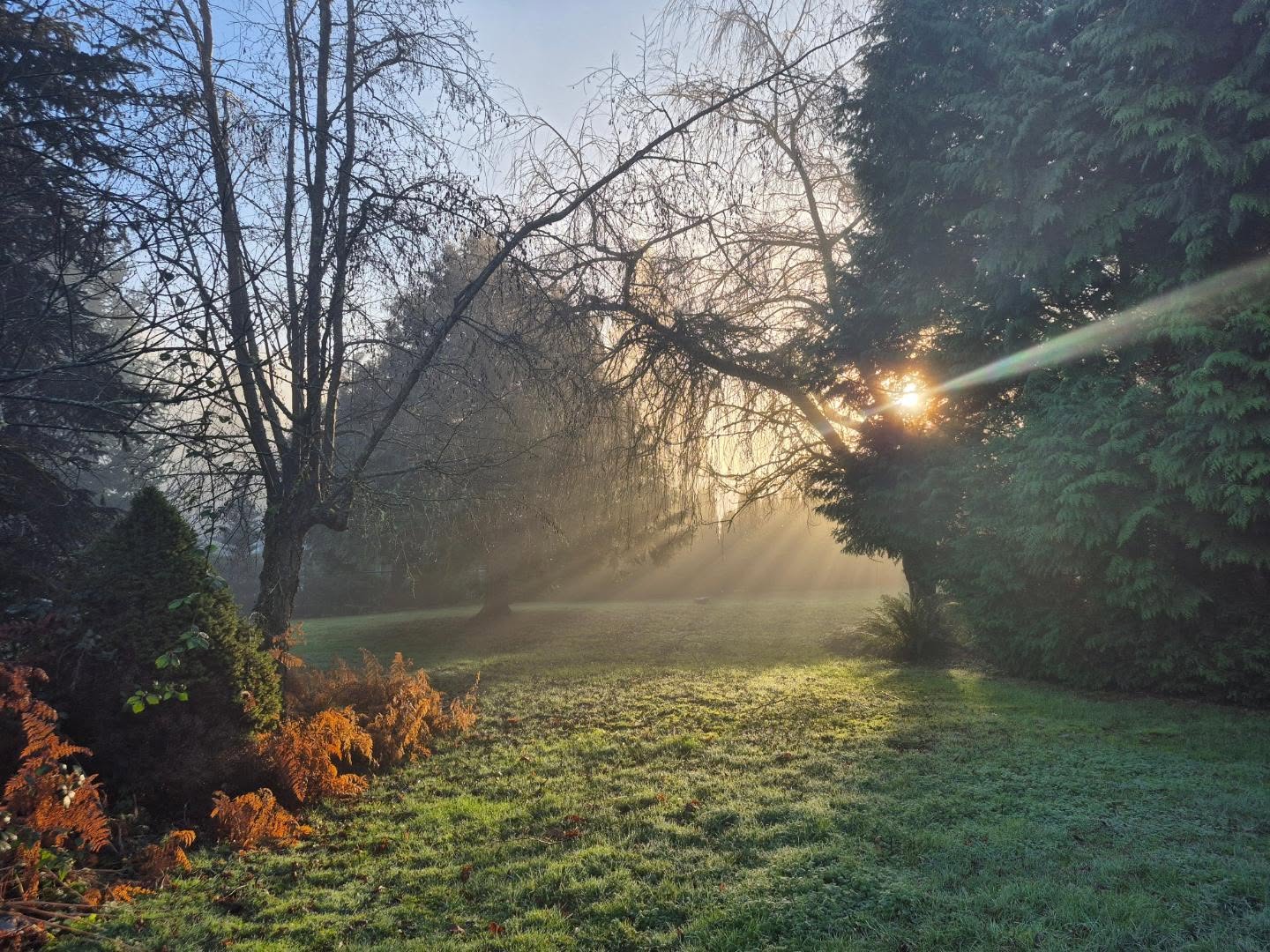 Good morning, from Hazelmere Acres ❤️